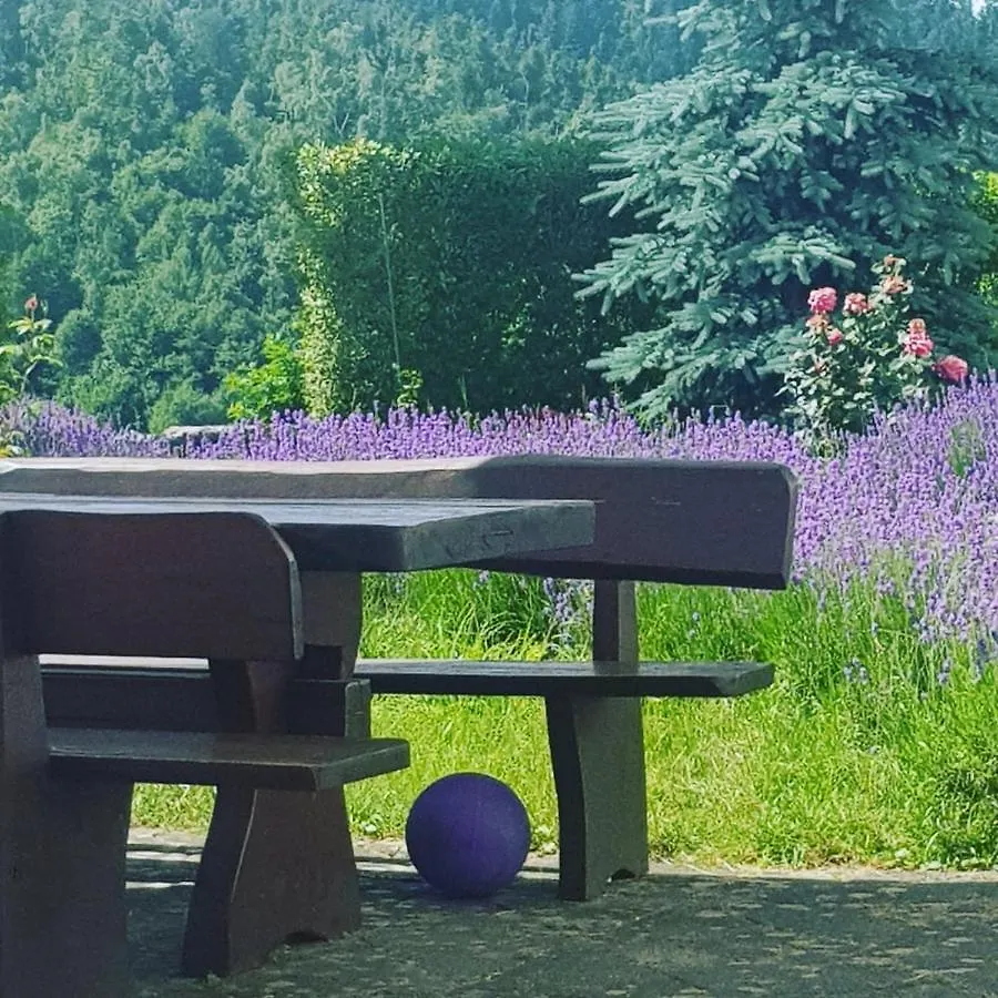 Hotel Fuzinarska Kuca Fužine